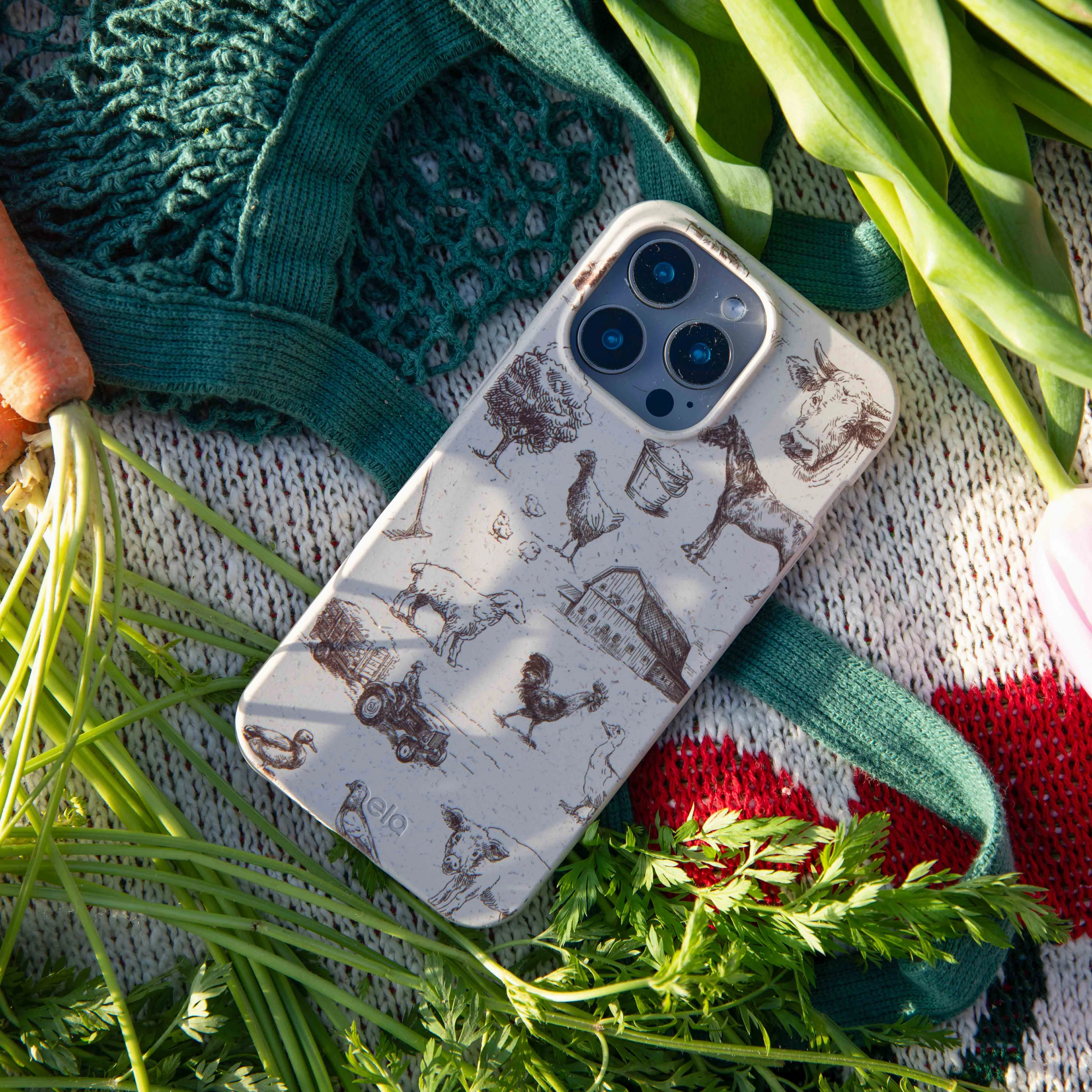 Shock Proof London Fog Barn and Field iPhone 17 Pro Max Case