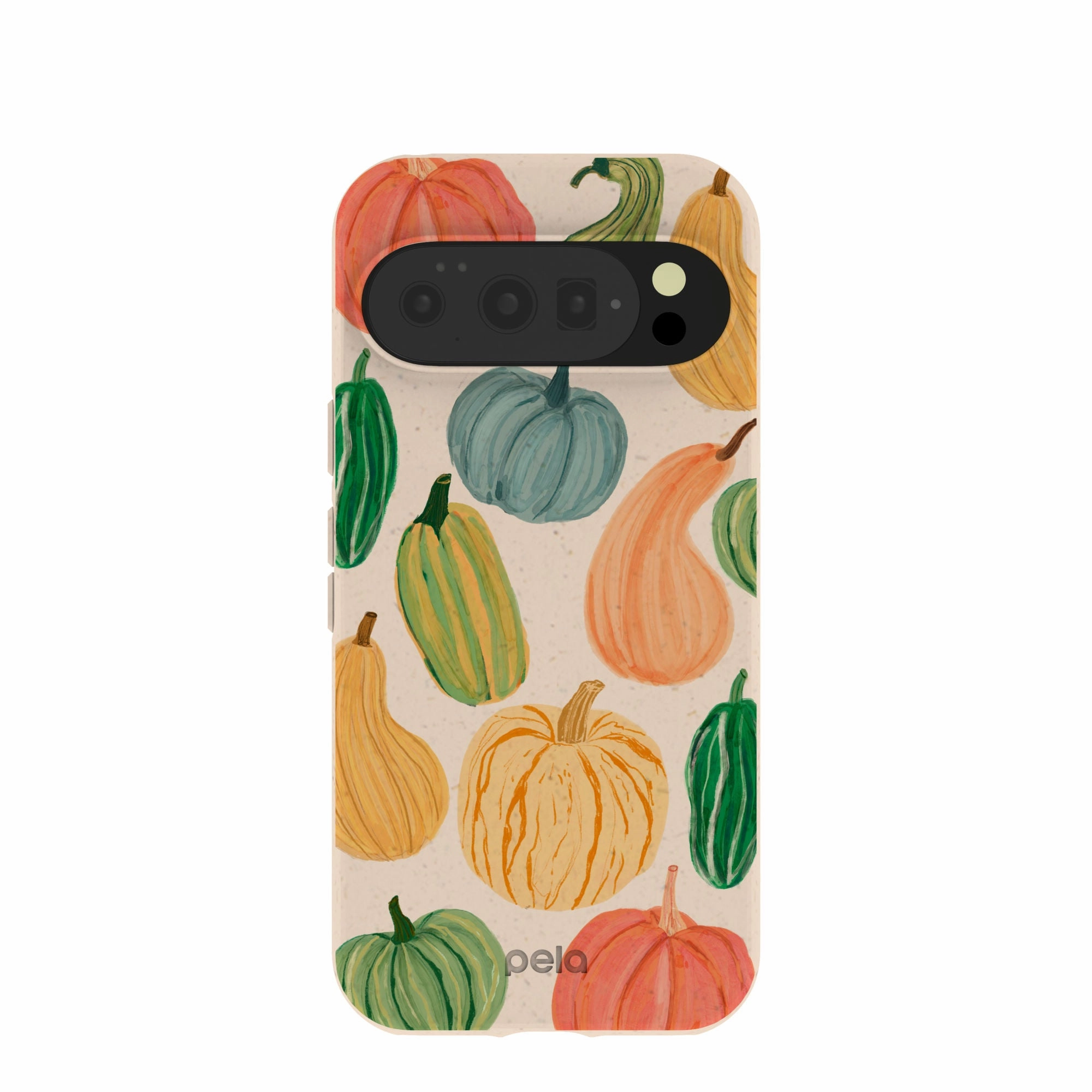 Everyday Accessory Rugged Pattern Design Seashell Autumn Garden Google Pixel 10/10 Pro Case