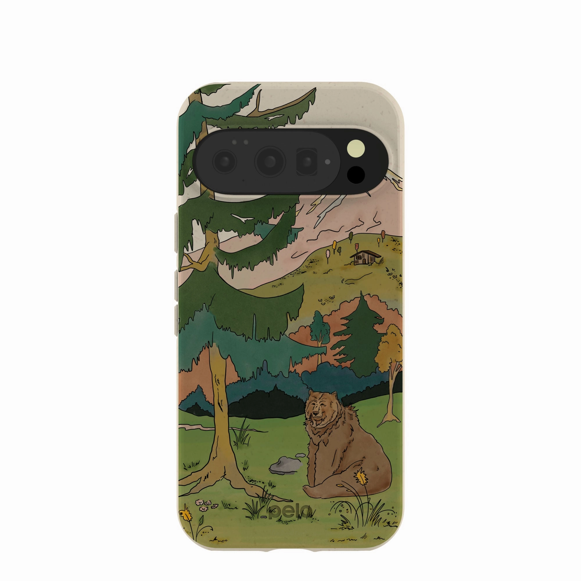 Edge Reinforced London Fog Rocky Bear Google Pixel 10/10 Pro Case